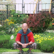 ���������� ������, ���� ������� �����, 62 ����, ������������ ��� ������, ����� � ���������, c�������� ���������