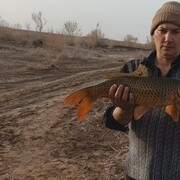 ���������� ������, ���� ������� ������, 42 ����, ������������ ��� ������, ����� � ���������, c�������� ���������