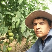 ���������� �������, ���� ������� ��������, 37 ���, ������������ ��� ������, ����� � ���������, c�������� ���������, ���������