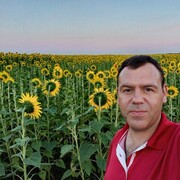 ���������� �����-���������, ���� ������� ������, 43 ����, ������������ ��� ����� � ���������, c�������� ���������