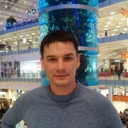 ���������� �������, ���� ������� �������, 43 ����, ������������ ��� ������, ���������