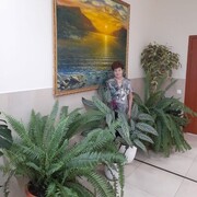  ,   , 67 ,   ,   