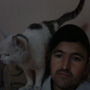 ���������� ���������, ���� ������� �����, 38 ���, ������������ ��� ������, ����� � ���������, c�������� ���������