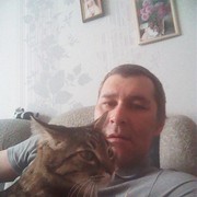  -,   , 56 ,   