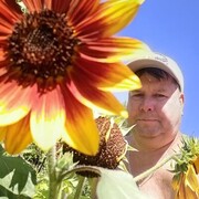  ,   , 55 ,   ,   