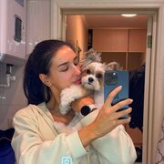 ���������� �������, �����