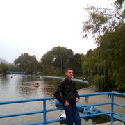  ,   , 38 ,     , c 