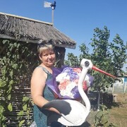  ,   , 56 ,     , 