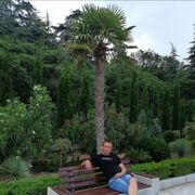 ���������� ���������, ���� ������� �������, 36 ���, ������������ 