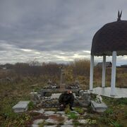 ���������� ������������, ���� ������� ������, 31 ���, ������������ ��� ������, ����� � ���������, c�������� ���������, ���������