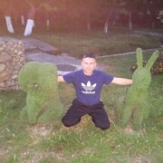 ���������� �����������, ���� ������� ������, 38 ���, ������������ ��� ������, ����� � ���������