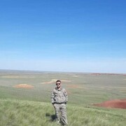 ���������� ���������, ���� ������� ���������, 38 ���, ������������ ��� ������, ����� � ���������, c�������� ���������