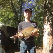 ���������� ���������, ���� ������� ����, 56 ���, ������������ ��� ������, ����� � ���������, c�������� ���������