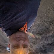  ,  , 42