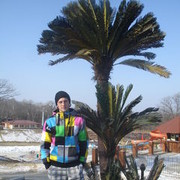 ���������� �����������, ���� ������� ����, 36 ���, ������������ 