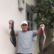  ,   , 42 ,   ,   