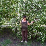  ,   , 56 ,     
