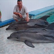 ���������� �����, ���� ������� ������, 44 ����, ������������ ��� ����� � ���������, c�������� ���������