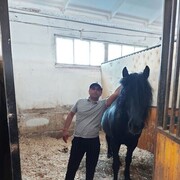  ,   , 40 ,   ,   