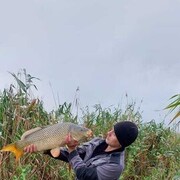  ,   , 33 ,   ,   , 