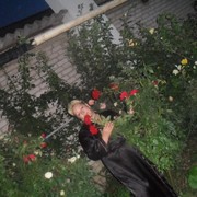  ,   , 55 ,     , c 