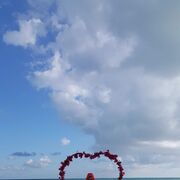 ���������� ������, ���� ������� �����, 57 ���, ������������ ��� c�������� ���������