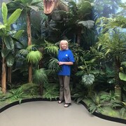 ���������� ����, ���� ������� �����, 60 ���, ������������ ��� ����� � ���������, c�������� ���������