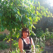  ,   , 55 ,  