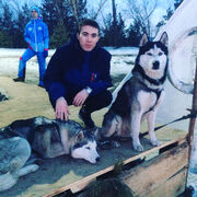 ���������� ����������, ���� ������� �������, 29 ���, ������������ ��� c�������� ���������