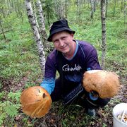  -,   , 33 ,   ,   , c 