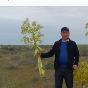  ,   Otash, 40 ,   ,   , c , 