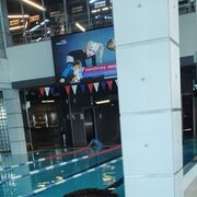 ���������� ���������, ���� ������� �������, 41 ���, ������������ ��� ����� � ���������, c�������� ���������