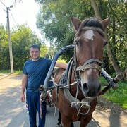 ���������� �������, ���� ������� �������, 38 ���, ������������ ��� ������, ����� � ���������, c�������� ���������