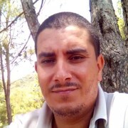  Algiers,  Malek, 38