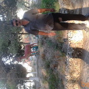  ,   POLAD, 57 ,   