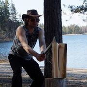 ���������� �����-���������, ���� ������� ��, 53 ����, ������������ ��� ������, ���������