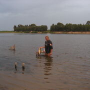 ���������� ������, ���� ������� �������, 56 ���, ������������ ��� ������, ����� � ���������, c�������� ���������, ���������