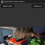 ���������� ����, ���� ������� Kot, 35 ���, ������������ ��� ������, ����� � ���������, c�������� ���������