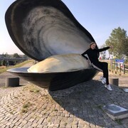  ,   Marina, 36 ,     , c 