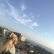  ,   Diana, 43 ,     , c , 
