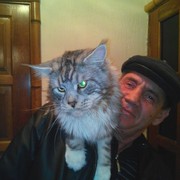 ���������� ���������, ���� ������� �������, 60 ���, ������������ ��� ������, ����� � ���������, c�������� ���������