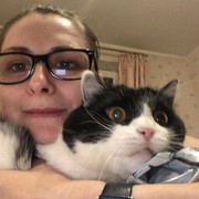 ���������� ������, ���� ������� �������, 44 ����, ������������ ��� ������, ����� � ���������, c�������� ���������