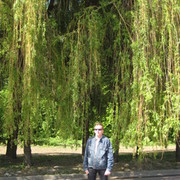 ���������� ���������, ���� ������� ����, 52 ����, ������������ 