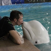 ���������� ����-�����������, ���� ������� ����, 30 ���, ������������ ��� ������, ����� � ���������, c�������� ���������