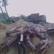  ,   Vladimir, 34 ,     , c , 