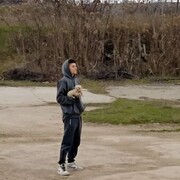 ���������� �����������, ���� ����� ������, 20 ���, ������������ ��� ������, ����� � ���������