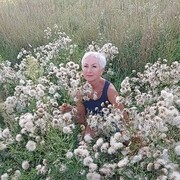 ���������� ��������, ���� ������� �����, 55 ���, ������������ ��� ������, ����� � ���������, c�������� ���������