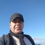 ���������� �����-���������, ���� ������� Elman, 39 ���, ������������ ��� ������, ����� � ���������