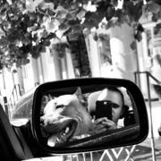 ���������� ������, ���� ������� �����, 26 ���, ������������ ��� ������, ����� � ���������