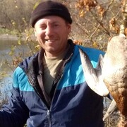 ���������� ������, ���� ������� �����, 43 ����, ������������ ��� ������, ����� � ���������